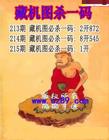 藏机图杀码