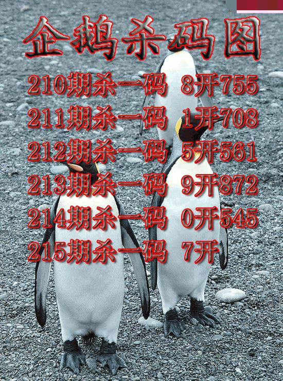 企鹅杀码