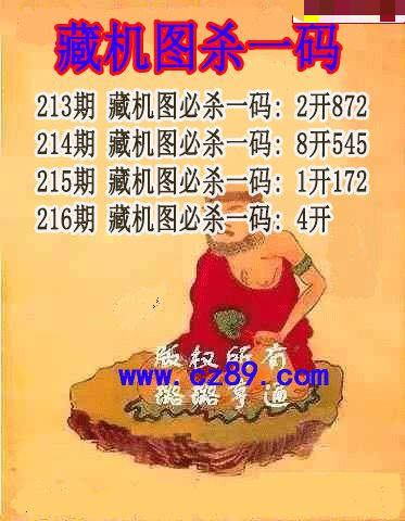 藏机图杀码