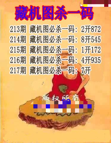 藏机图杀码