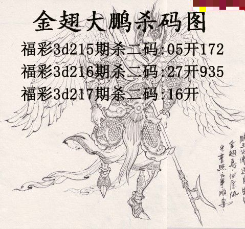 金翅大鹏杀码