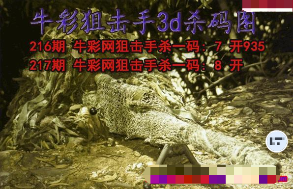 牛彩狙击手杀码