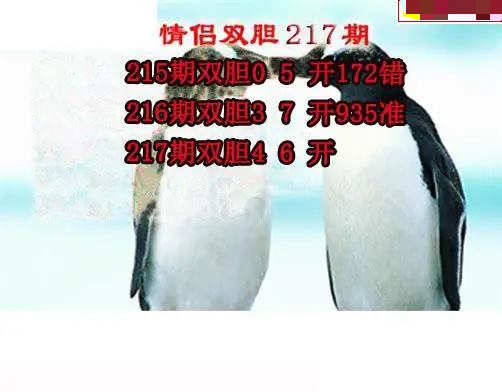 情侣双胆