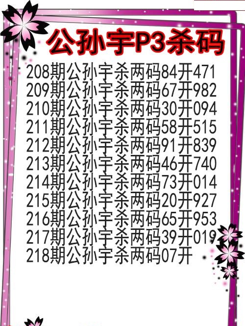 公孙宇杀码图