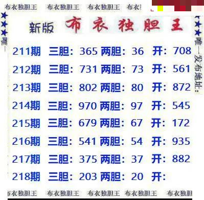 新版布衣独胆王