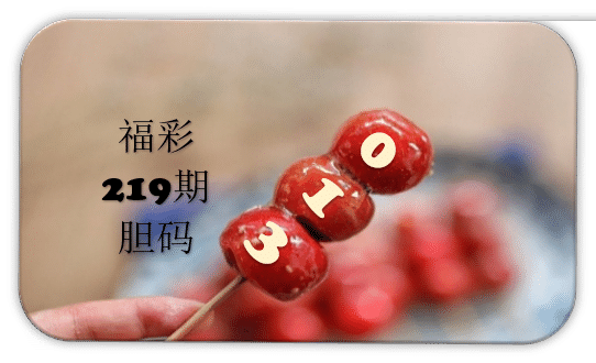 串串胆码图