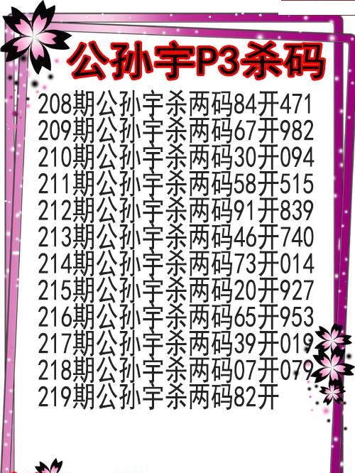 公孙宇杀码图