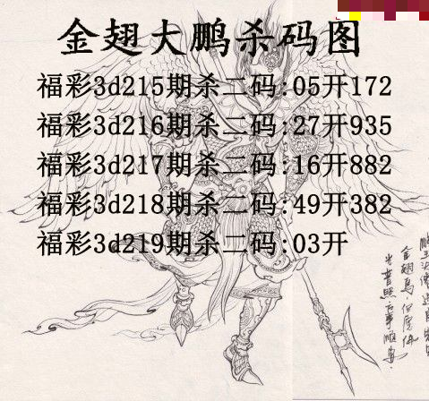 金翅大鹏杀码