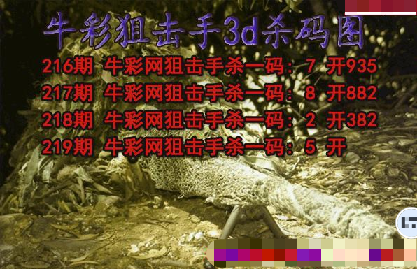 牛彩狙击手杀码