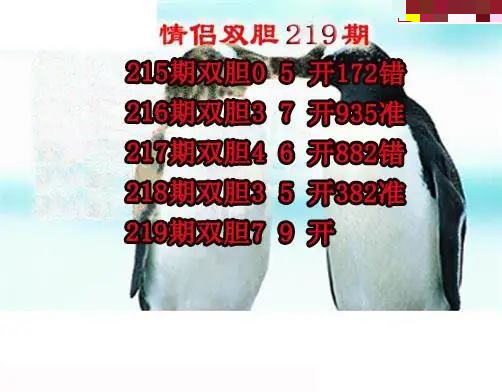 情侣双胆