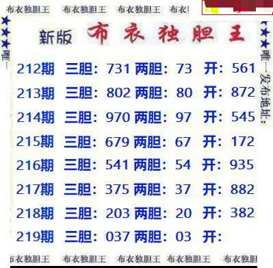 新版布衣独胆王