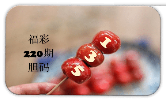 串串胆码图