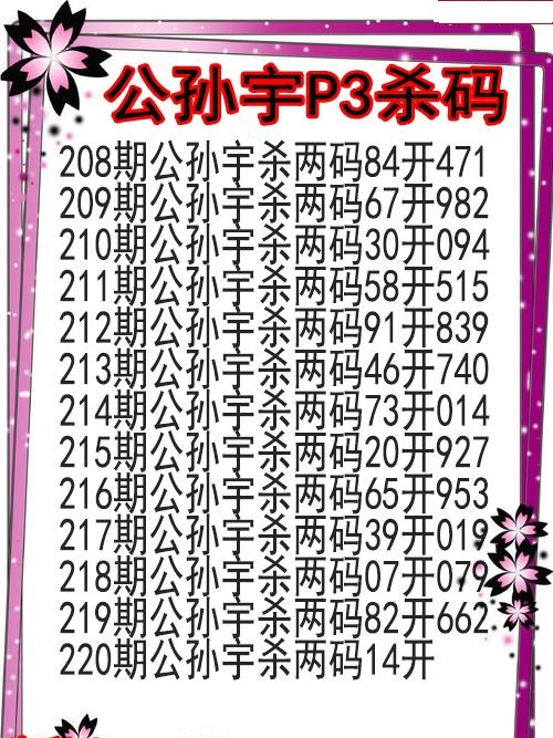 公孙宇杀码图