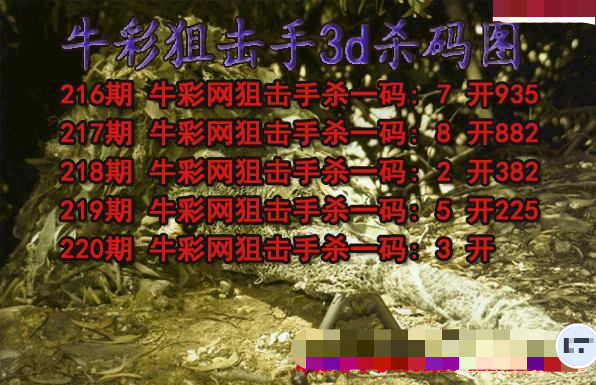 牛彩狙击手杀码