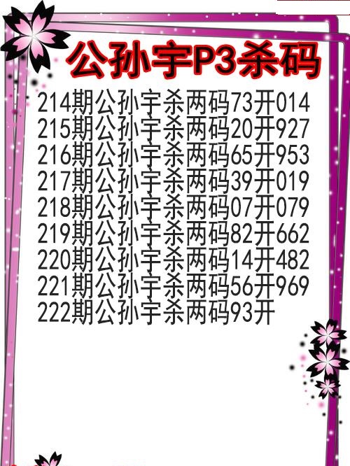 公孙宇杀码图