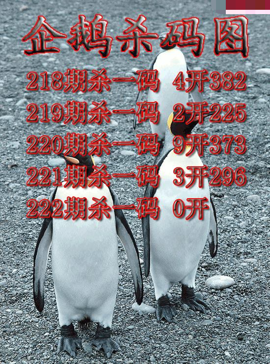 企鹅杀码