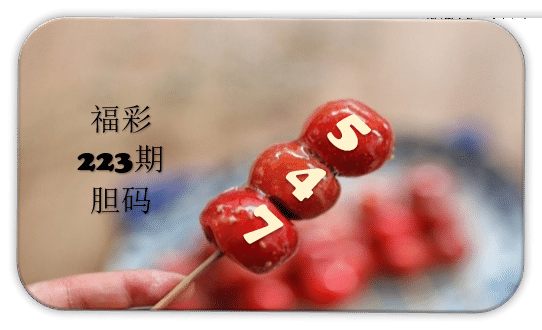 串串胆码图