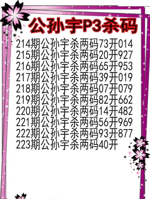 公孙宇杀码图