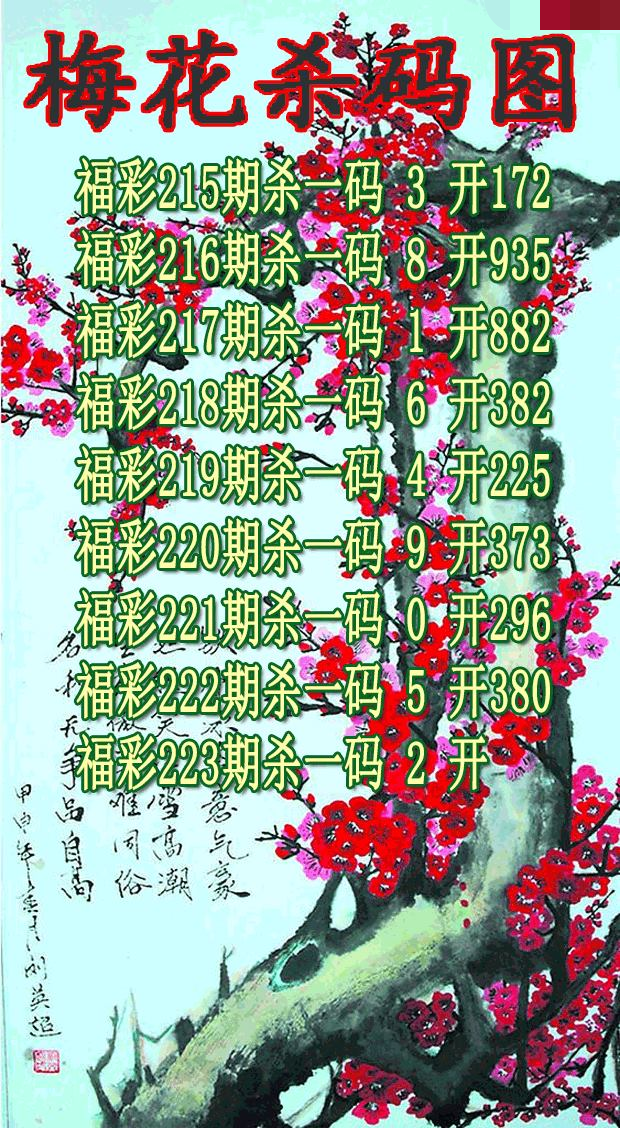 梅花杀码