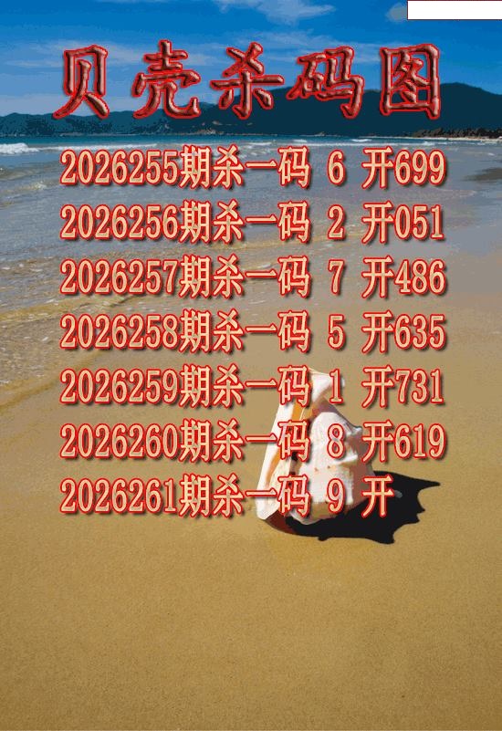 贝壳杀码