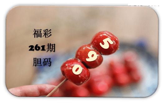 串串胆码图