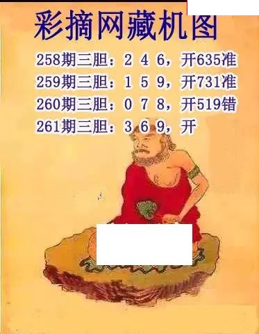彩摘藏机图
