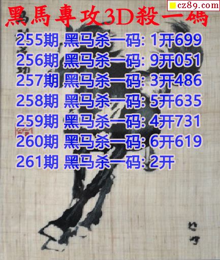 黑马杀码