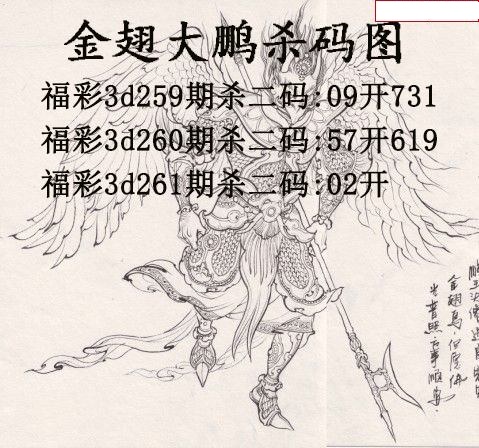 金翅大鹏杀码