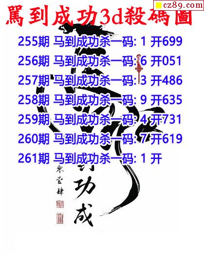 马到成功杀码