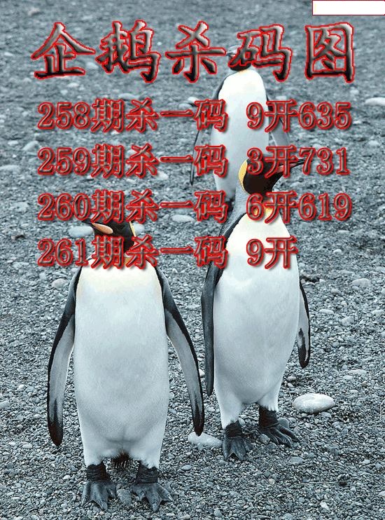 企鹅杀码