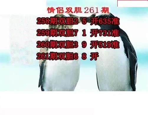 情侣双胆