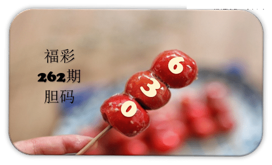 串串胆码图