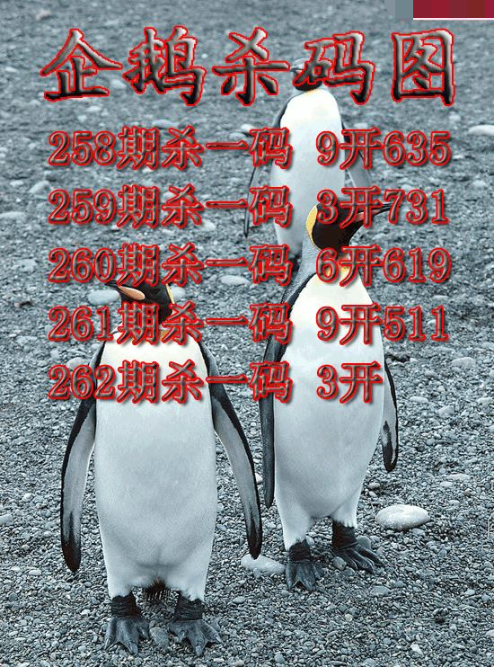 企鹅杀码