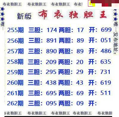 新版布衣独胆王