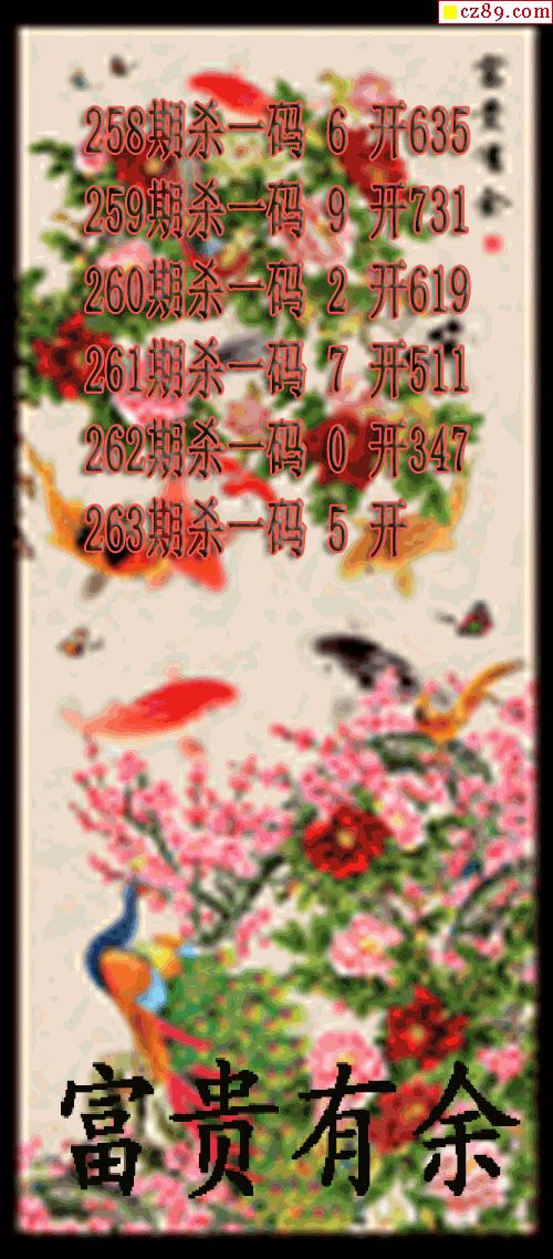 富贵有余杀码