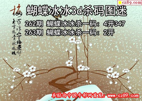 蝴蝶冰冰杀码