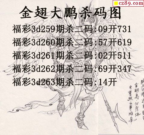 金翅大鹏杀码