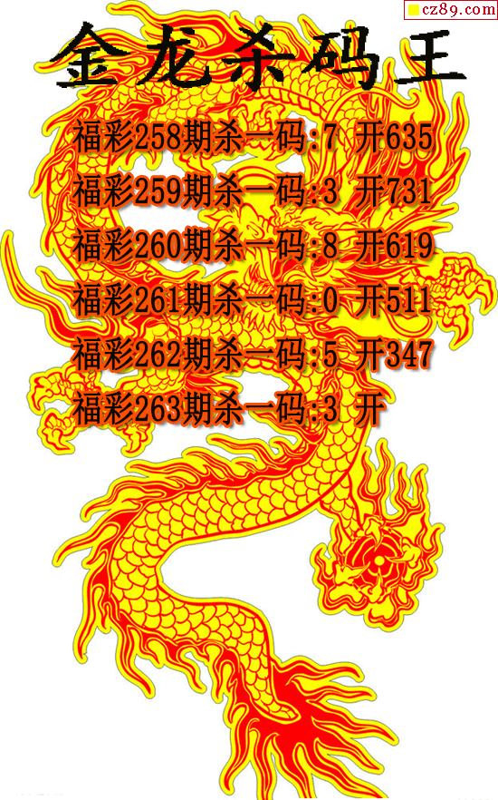 金龙杀码王