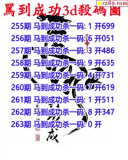 马到成功杀码