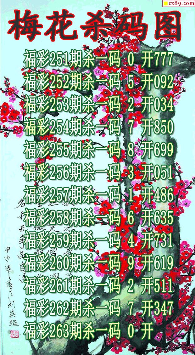 梅花杀码