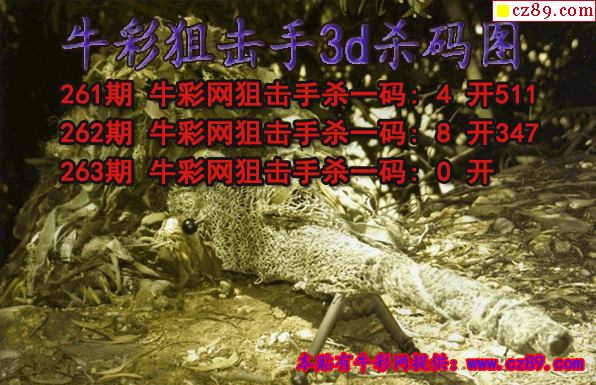 牛彩狙击手杀码