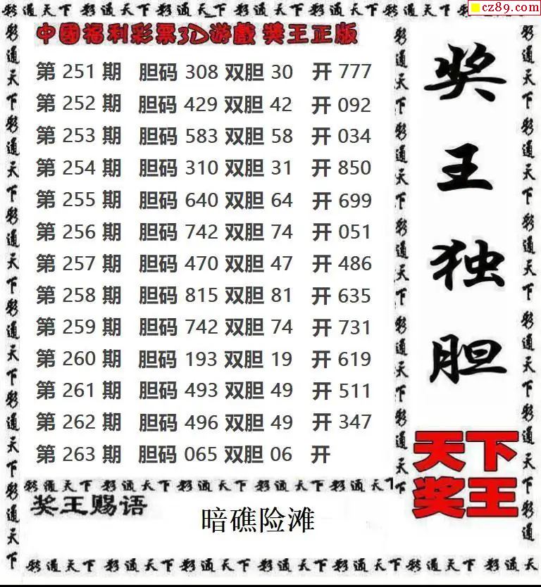 天下奖王