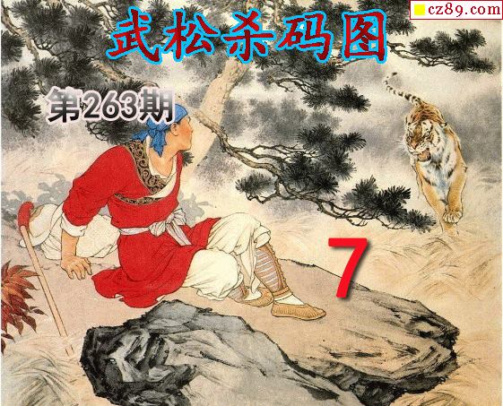 武松杀码
