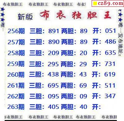 新版布衣独胆王