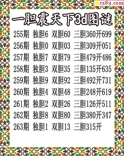一胆震天下独胆