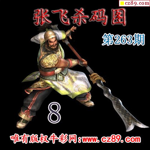 张飞杀码