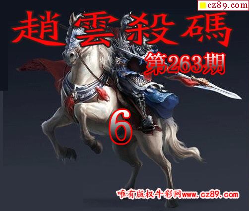 赵云杀码