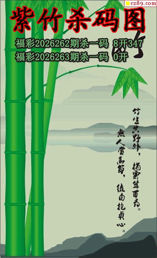 紫竹杀码