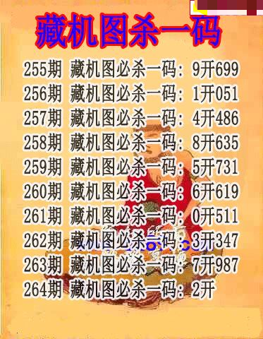 藏机图杀码
