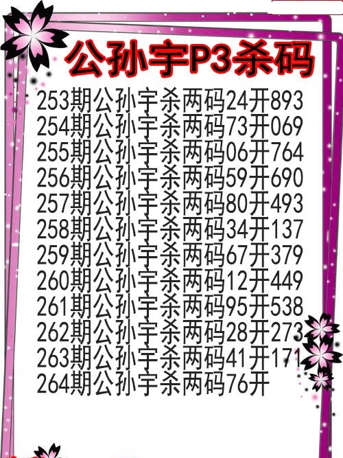 公孙宇杀码图